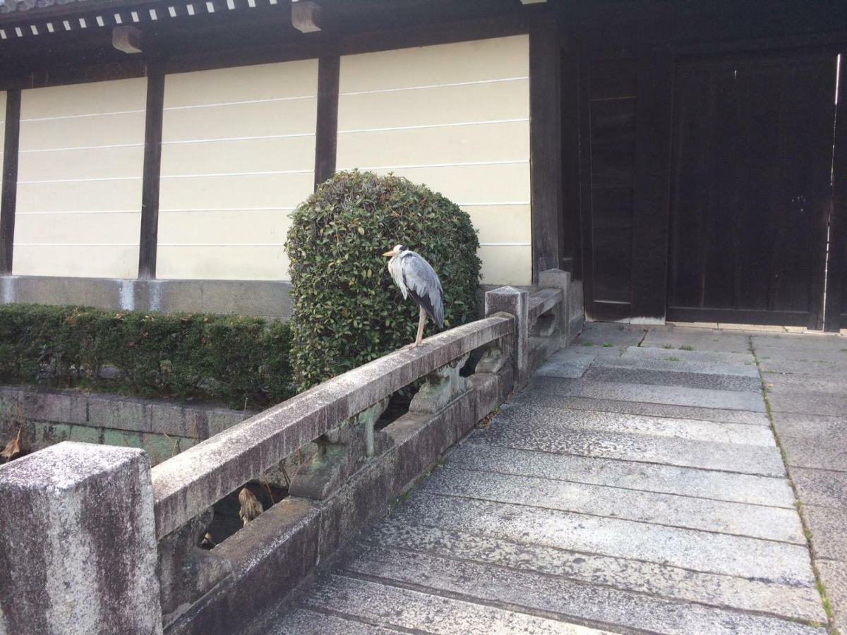 Gojyo Ivy Apartment Kyoto Ngoại thất bức ảnh